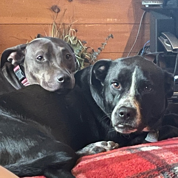 Meet your Posher, Autumn - Picture 1 of 1